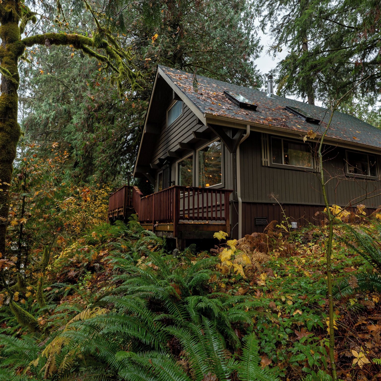 Cascade River Cabin