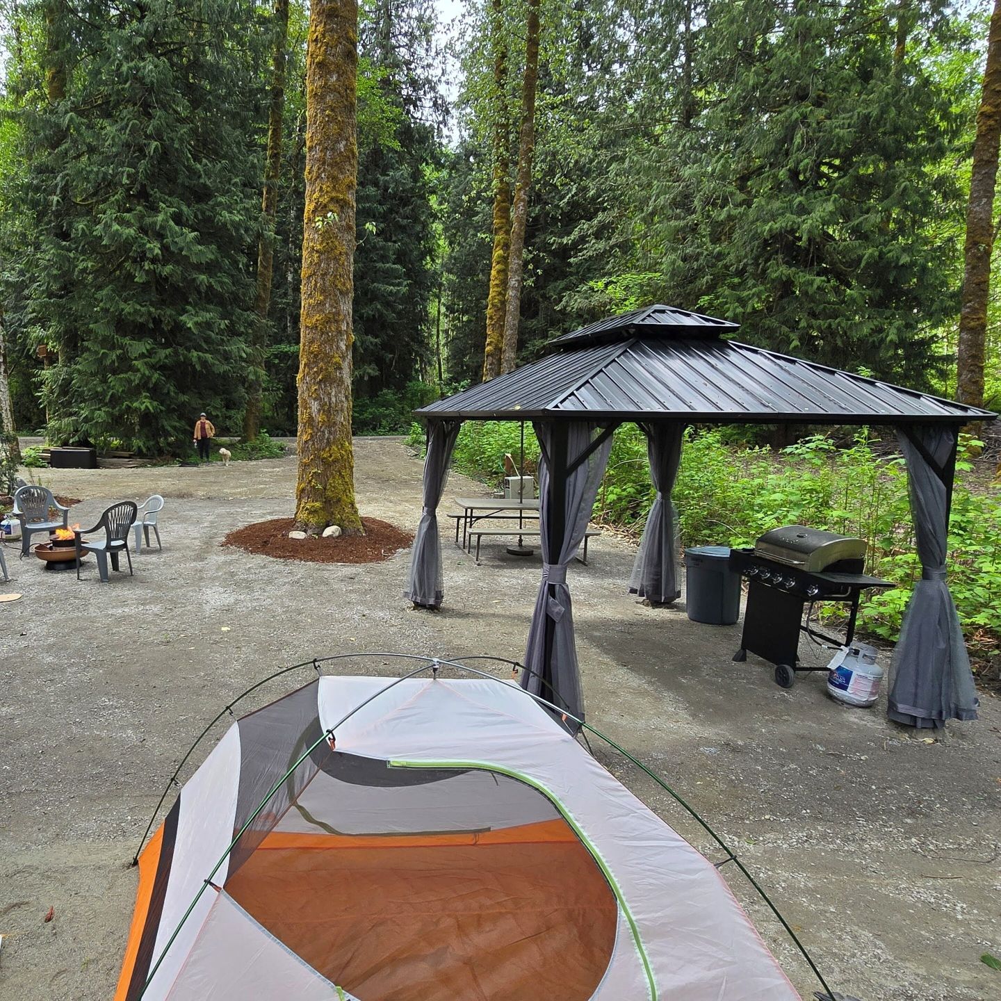 North Cascades Nook Camp