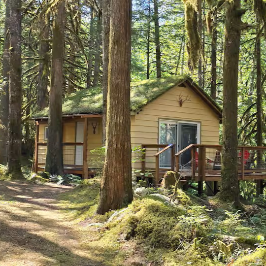 Moss Top Cabin