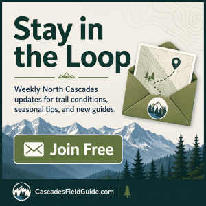 Join our newsletter