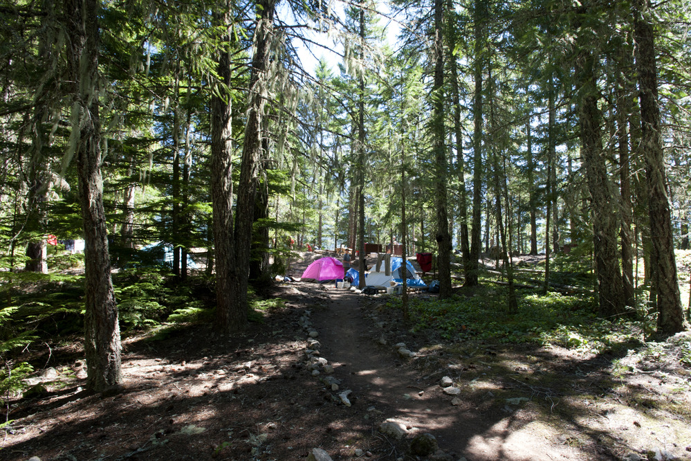 Ross Lake Camping