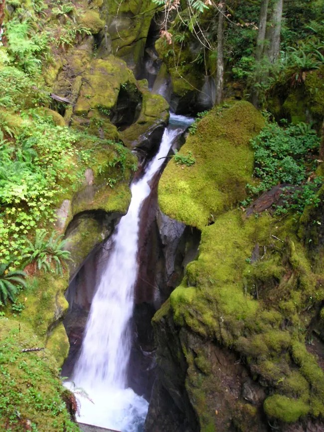Trail near the Gorge Powerhouse leading to Ladder Creek Falls in Newhalem